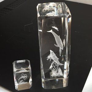 6" Tall Crystal Block 3D Laser Sea Ocean Animal Life: Dolphin Fish Turtle Squid